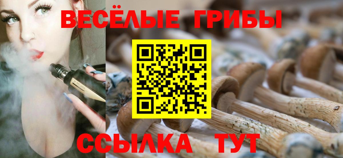Псилоцибиновые грибы ЛСД  Псилоцибиновые грибы Magic Shrooms  Вход с VPN  Бийск 